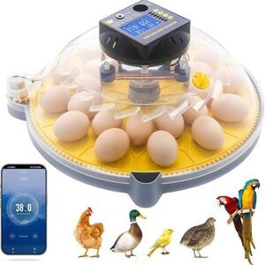 Smart 12‑Egg Incubator with Auto-Turn, Temp/Humidity Control & App/Bluetooth